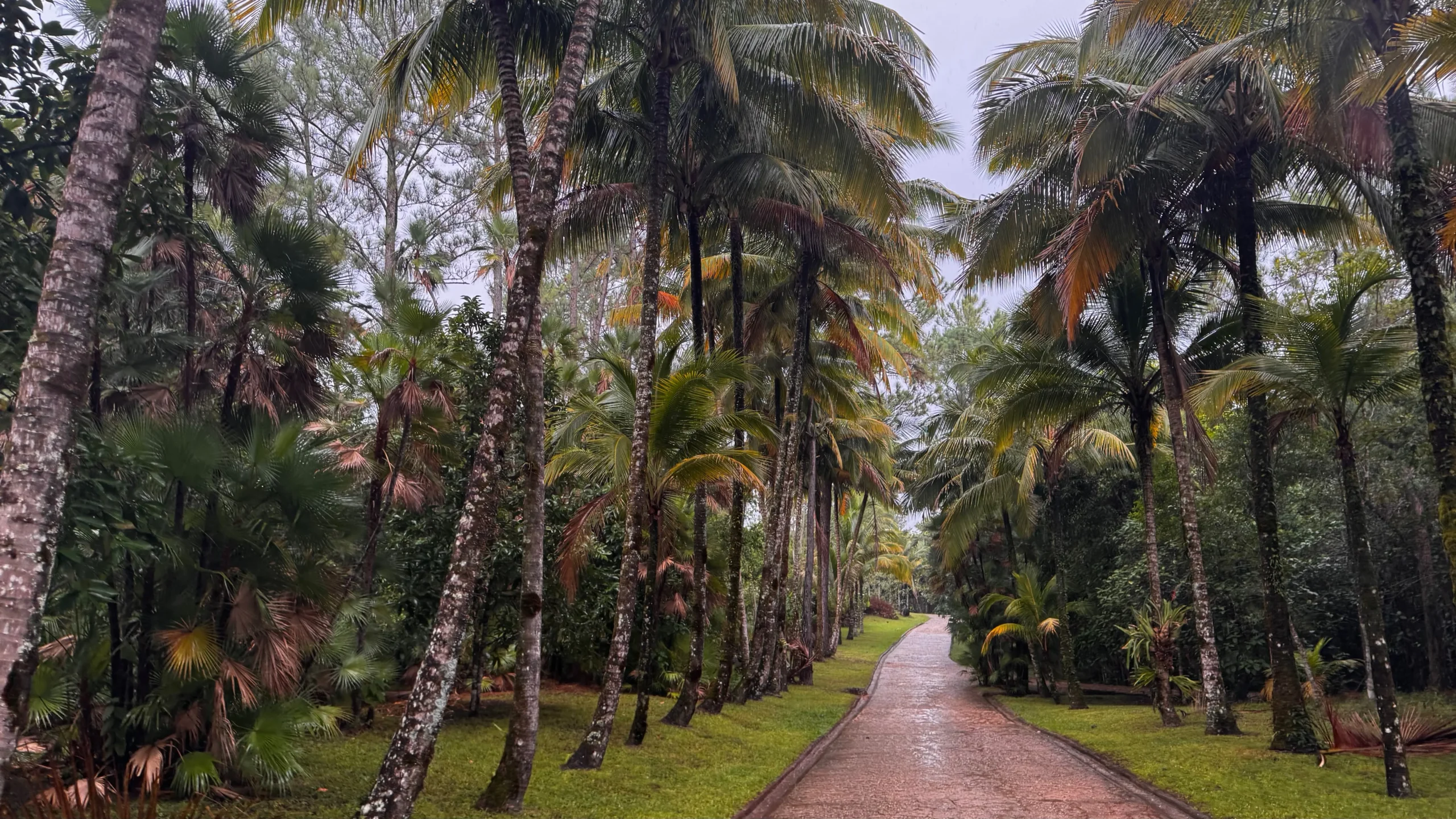 Palm-lined garden property in Cayo District Belize