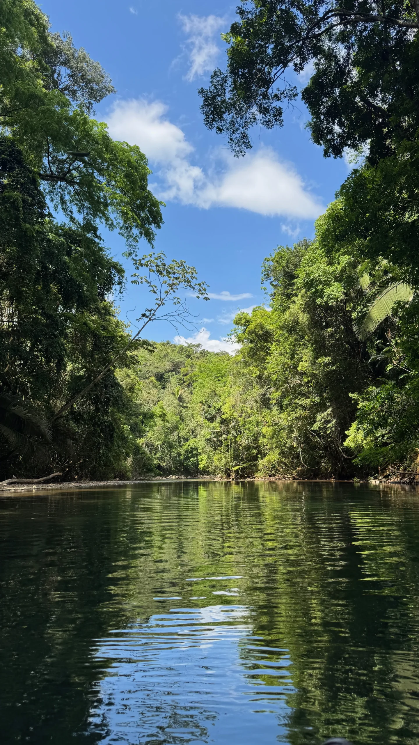 Tropical river winding through jungle in Cayo District Belize